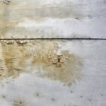 he Myths and Facts about Mould - Amity Environmental - Mold Removal Experts Calgary