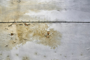 he Myths and Facts about Mould - Amity Environmental - Mold Removal Experts Calgary