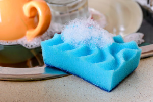 Common Household Items that Mould Loves - Amity Environmental - Mould Removal Calgary
