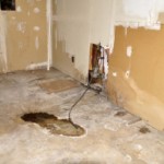 on’t Develop Mould this Spring! - Amity Environmental - mould testing calgary