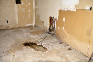 on’t Develop Mould this Spring! - Amity Environmental - mould testing calgary