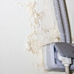 Mold Families: Aspergillus, Cladosporium, and Stachybotrys - Amity Environmental - Mold Removal Experts Calgary