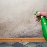 Mould and the Importance of Indoor Air Quality Tests - Amity Environmental - Air Quality test Calgary
