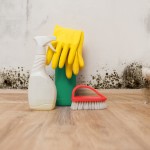 Why do Mould and Asbestos go Together? - Amity Environmental - Mold Removal Experts