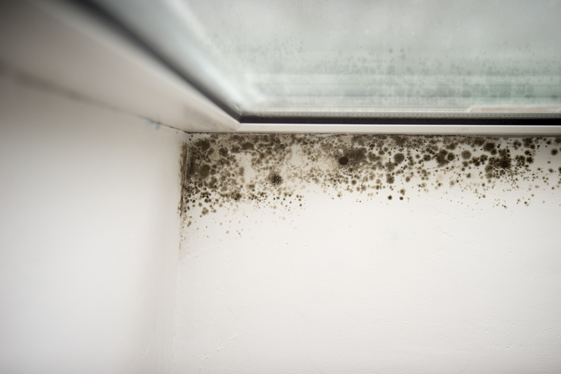 Preventing Mould Growth Over the Cold Months - Amity Environmental - Mold Removal Experts