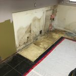 Painting over mold might seem like a quick fix to cover up unsightly spots on your walls. However, this approach can lead to more significant problems in the long run.