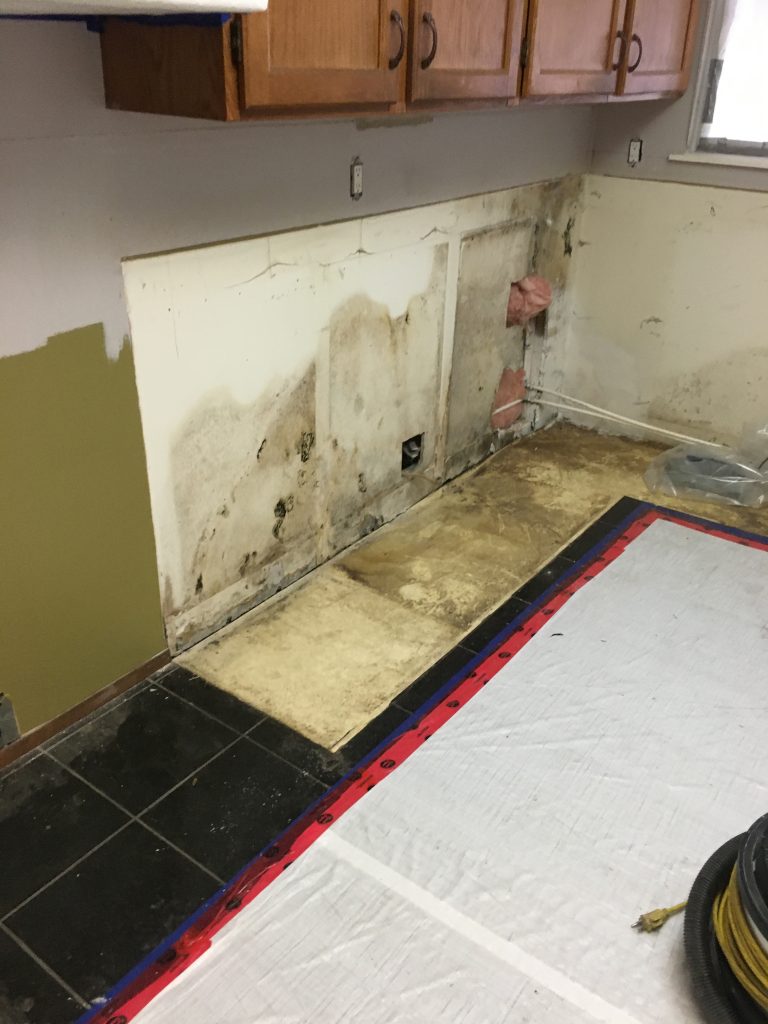 Painting over mold might seem like a quick fix to cover up unsightly spots on your walls. However, this approach can lead to more significant problems in the long run. 